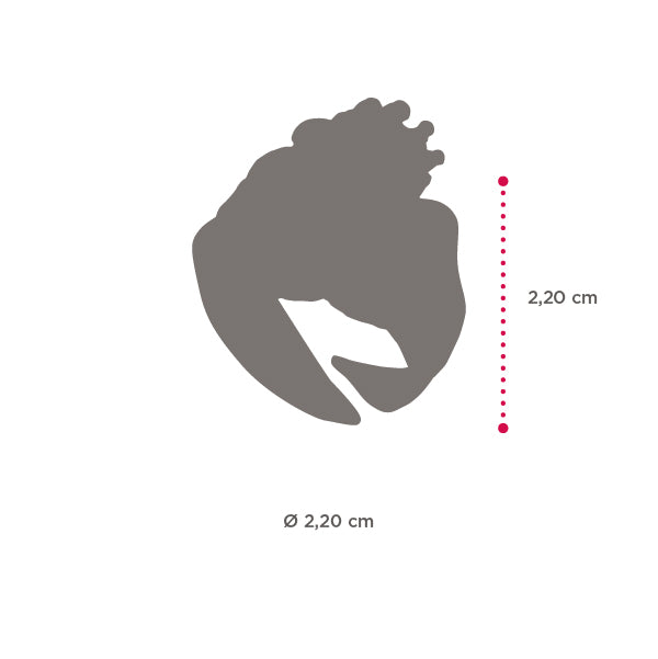 Anello in argento Dorato Mori Re Isola Bella - Arena Gioielli - Arena Gioielli