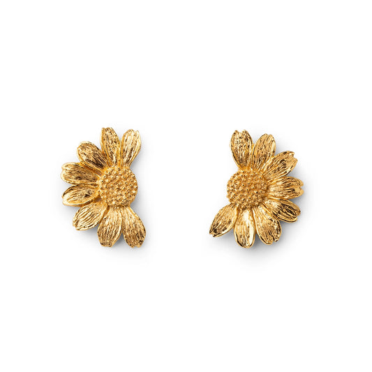 Orecchini donna Isola Bella 60000050