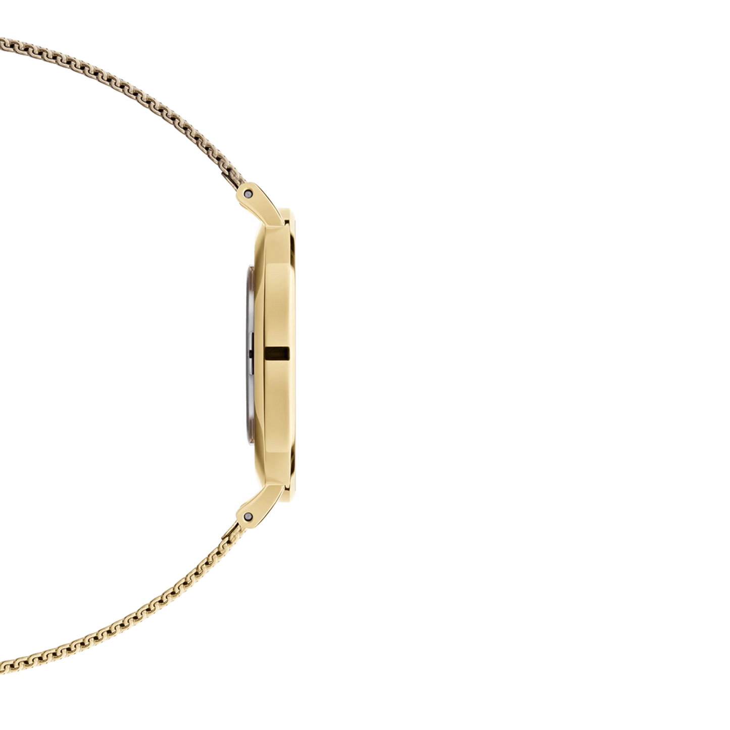Orologio Donna Daniel Wellington Classic Petite Evergold 32 mm – DW00100348 - Arena Gioielli  - Daniel Wellington