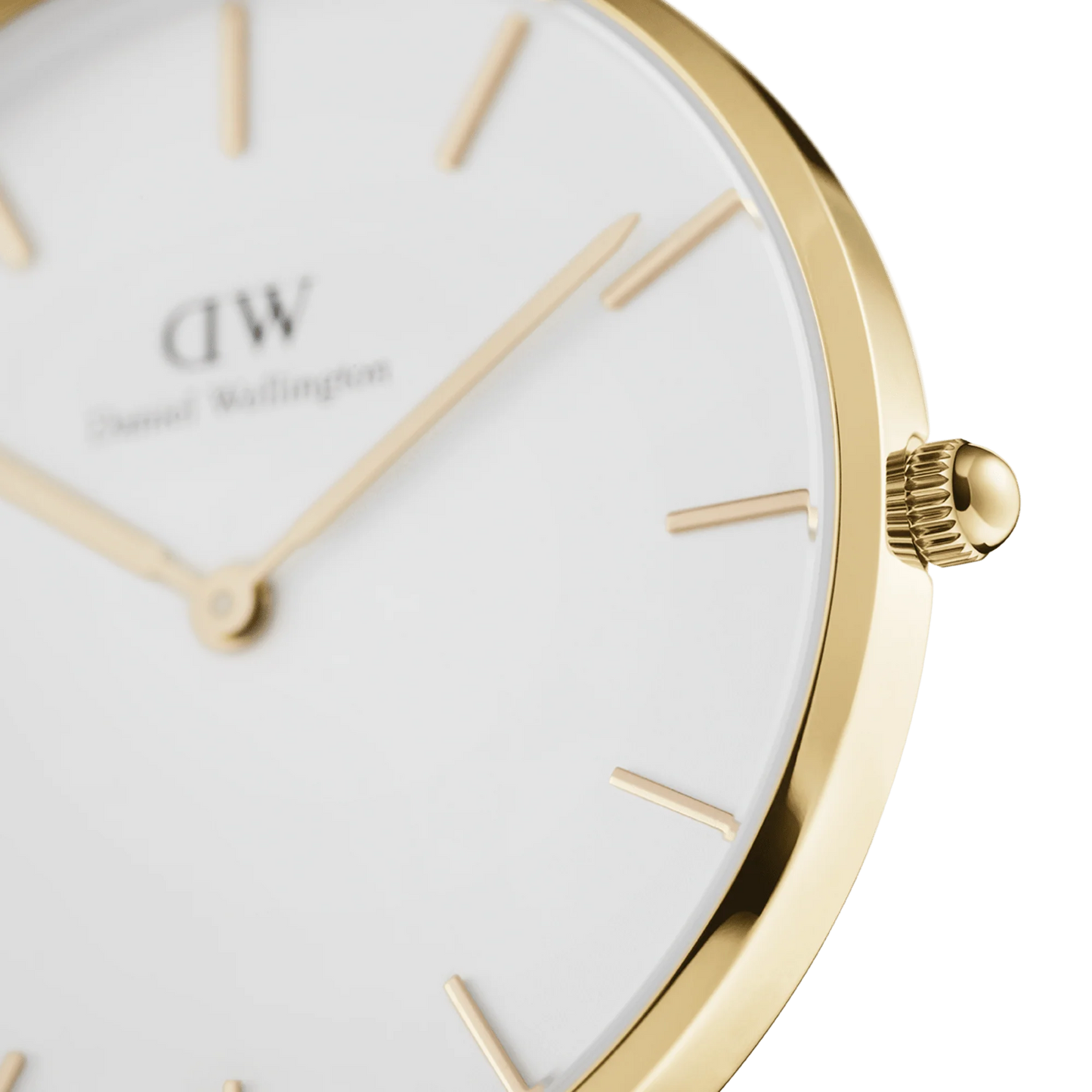 Orologio Donna Daniel Wellington Classic Petite Evergold 32 mm – DW00100348 - Arena Gioielli  - Daniel Wellington